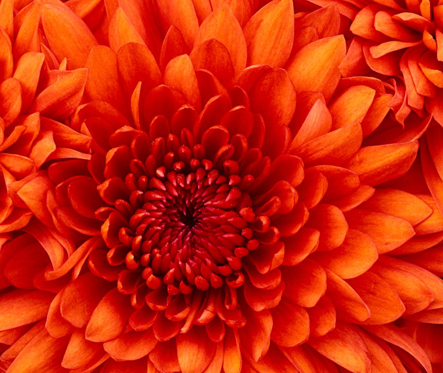 Molinar's Math Messages